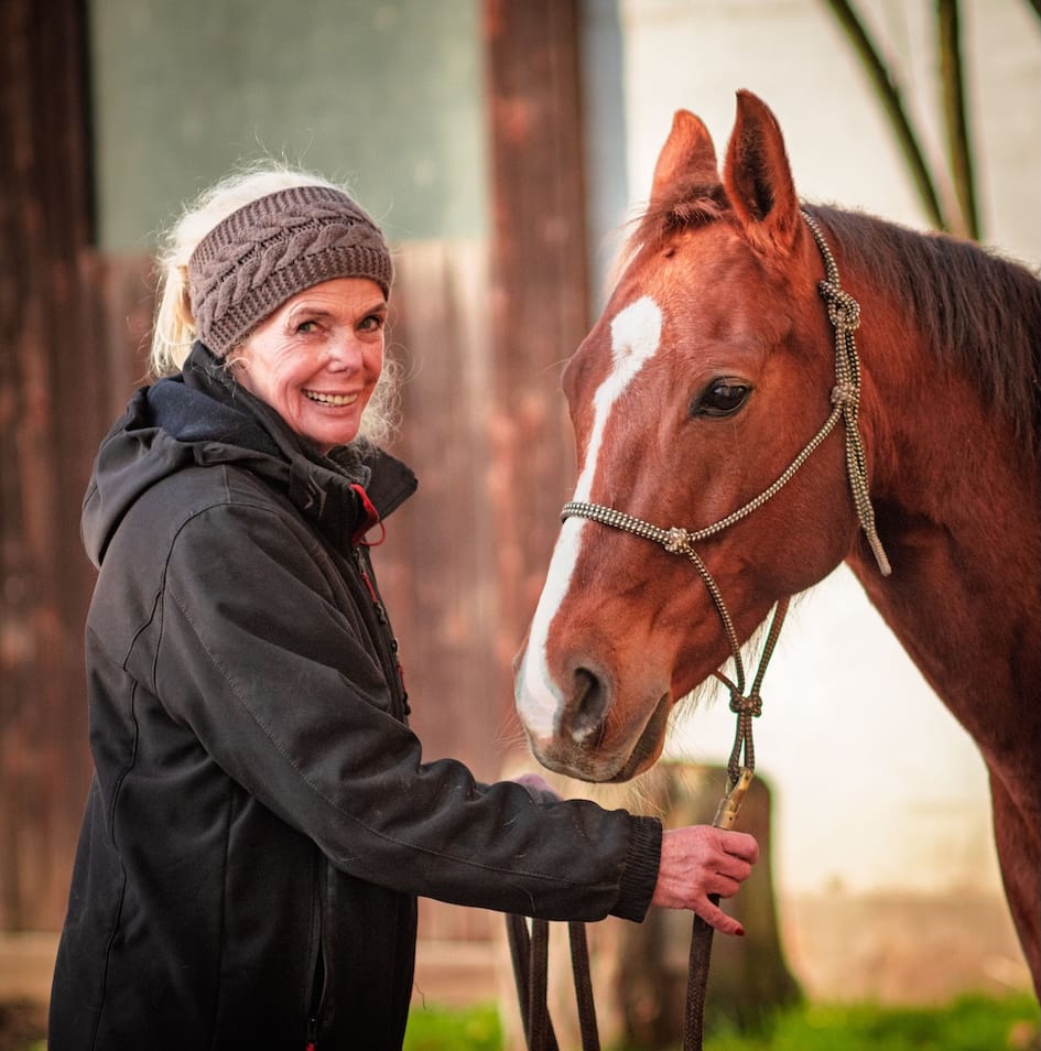 Happy Horses
